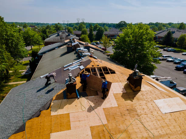 Roof Gutter Cleaning